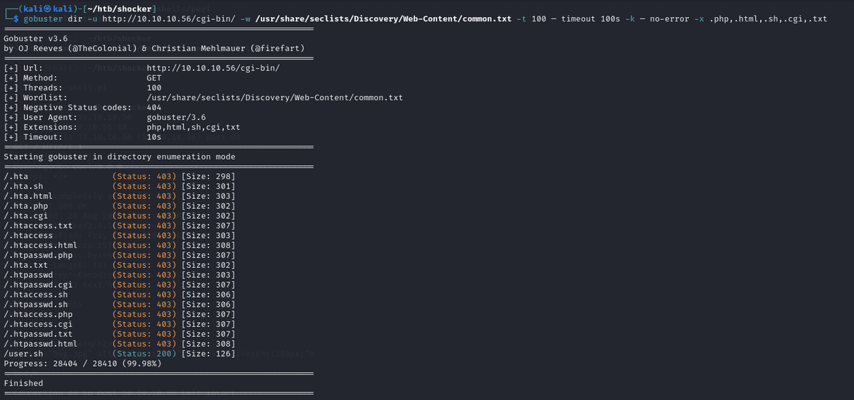 cgi-bin directory