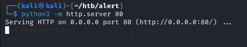 python server