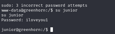 Acceso su junior