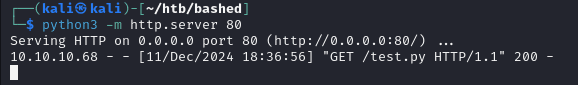 python server