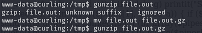 gunzip