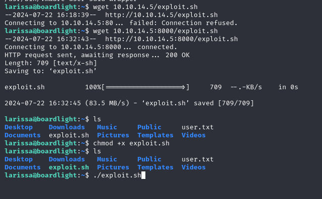 Ejecucion Exploit